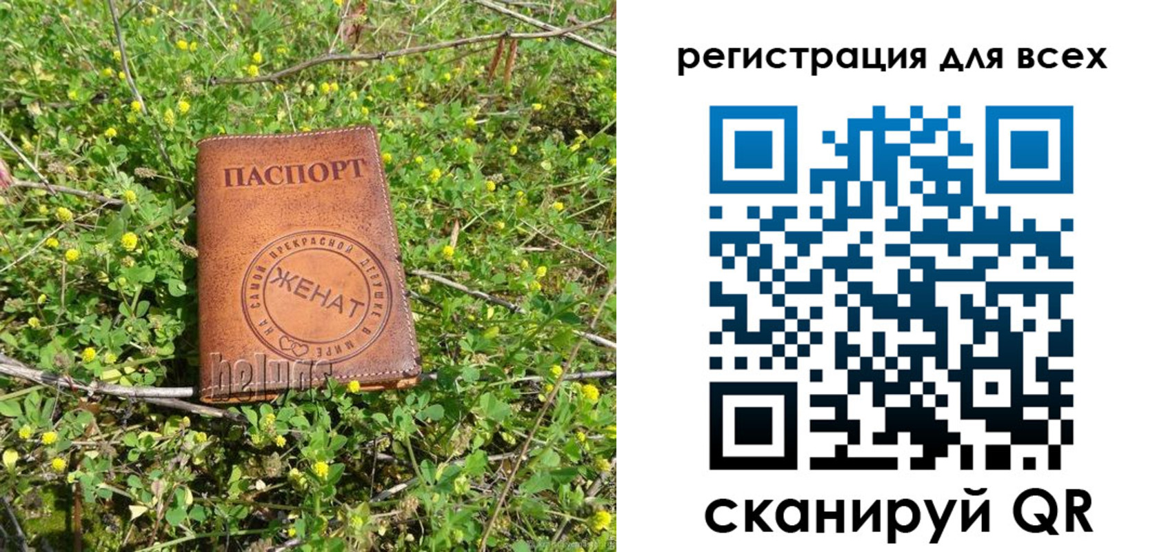 прописка регистрация в Полярных Зорях